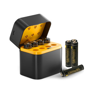 Electra Eco Power House AA And AAA Eight-Slot Rechargeable Batteries