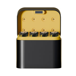 Electra Eco Power House AA And AAA Eight-Slot Rechargeable Batteries