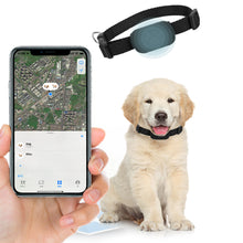 Load image into Gallery viewer, Find My Pet MFI Certified Activity Tracker for your Dog Vista Shops