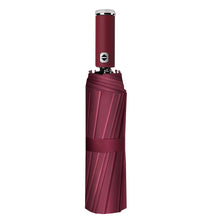 Load image into Gallery viewer, Pathfinder Prime LED Auto Umbrella with Tactical Flashlight